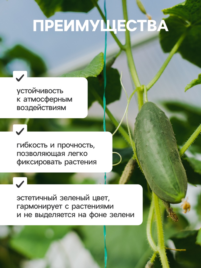 Проволока подвязочная, 50 м, толщина 2 мм, зелёная, Greengo