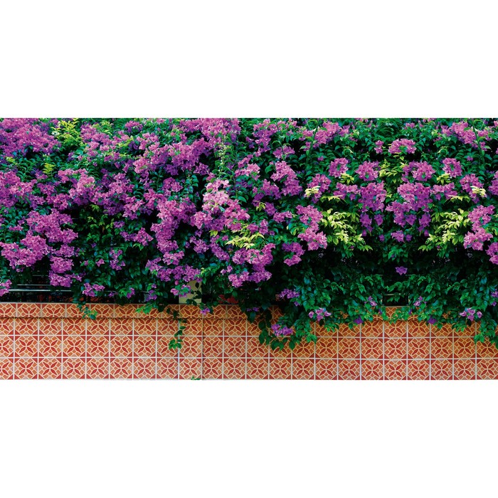 Фотобаннер, 250×150 см, с фотопечатью, люверсы шаг 1 м, «Фиолетовые цветы», Greengo