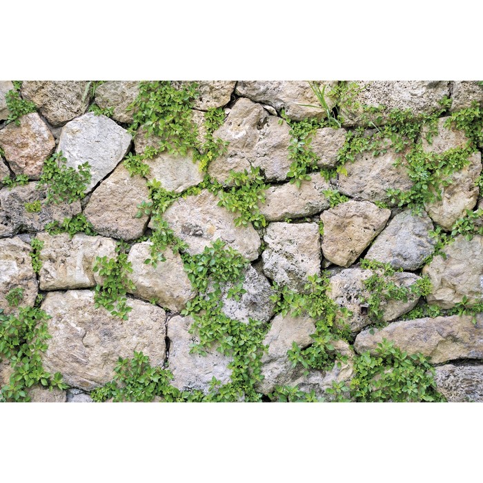Фотобаннер, 300 × 200 см, с фотопечатью, люверсы шаг 1 м, «Каменная стена», Greengo