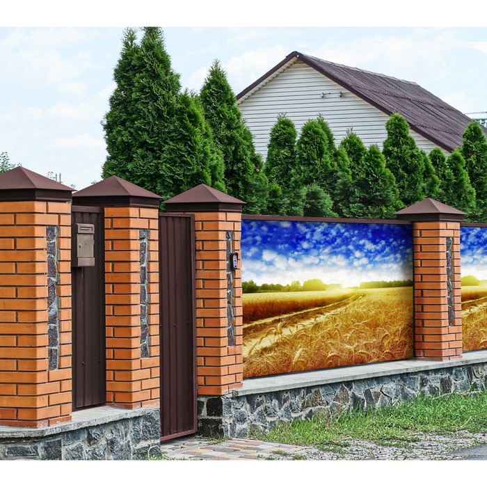 Фотобаннер, 250 × 200 см, с фотопечатью, люверсы шаг 1 м, «Рожь», Greengo
