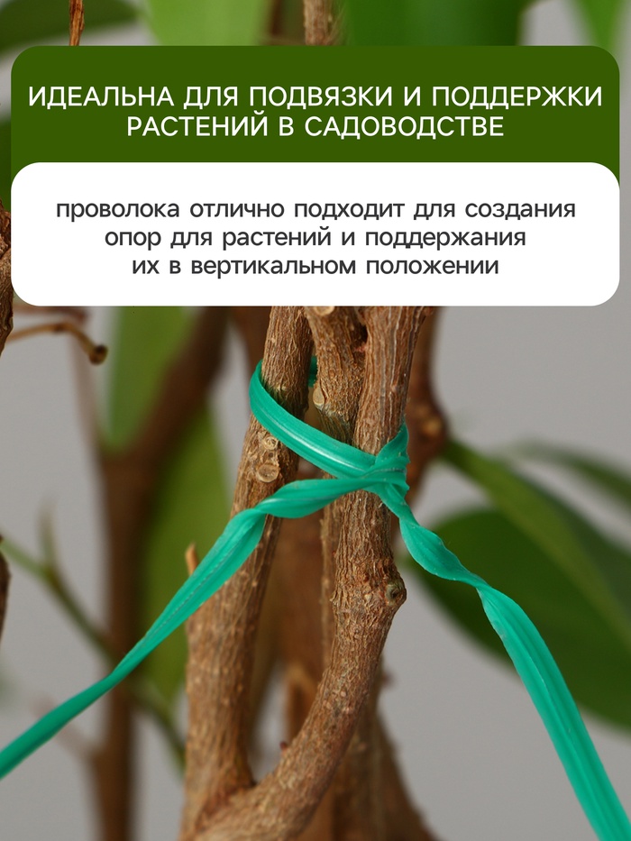 Проволока подвязочная, 20 см, в наборе 100 шт., зелёная, Greengo