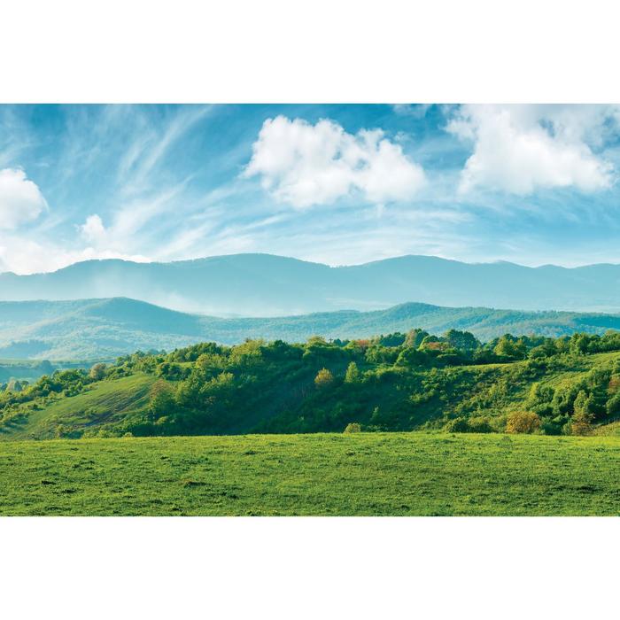 Фотобаннер, 300 × 200 см, с фотопечатью, люверсы шаг 1 м, «Луг», Greengo
