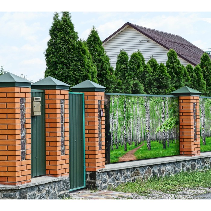 Фотобаннер, 250 × 150 см, с фотопечатью, люверсы шаг 1 м, «Тропинка», Greengo