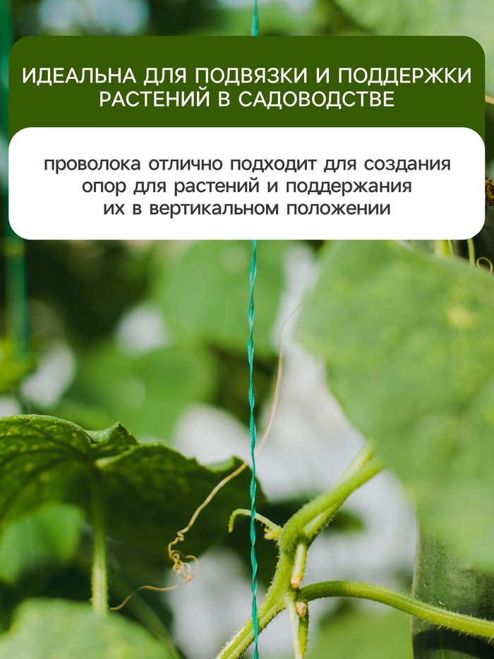 Проволока подвязочная, 50 м, толщина 2 мм, зелёная, Greengo