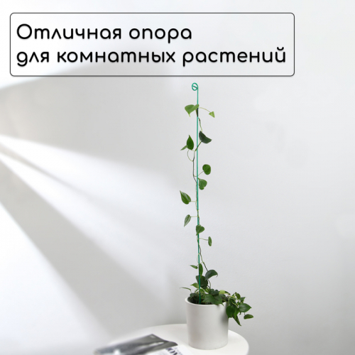 Колышек для подвязки растений, h=80 см, d=3 мм см, проволочный, зелёный, Greengo