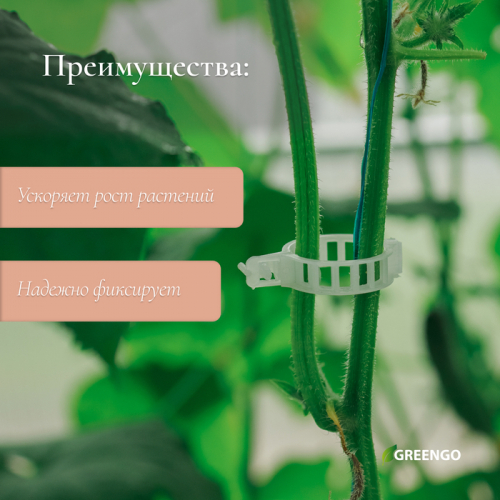 Клипса садовая, d=25 мм, набор 50 шт., Greengo