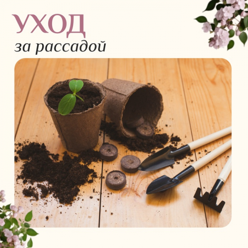Набор садового инструмента, 3 предмета: грабли, 2 лопатки, длина 24 см, деревянные ручки, Greengo