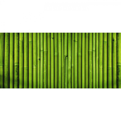 Фотобаннер, 300 × 200 см, с фотопечатью, люверсы шаг 1 м, «Бамбук», Greengo