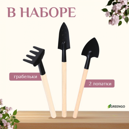 Набор садового инструмента, 3 предмета: грабли, 2 лопатки, длина 24 см, деревянные ручки, Greengo
