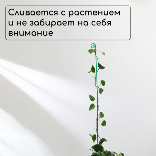 Колышек для подвязки растений, h=80 см, d=3 мм см, проволочный, зелёный, Greengo