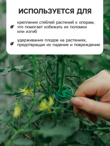 Набор прищепок для растений, 4.5×4.5 см, 20 шт., пластик, зелёные, Greengo