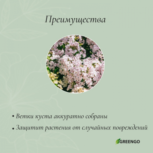 Кустодержатель для цветов, d=20 см, h=70 см, ножка d=0.3 см, металл, зелёный, Greengo
