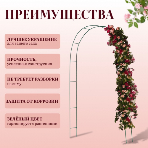 Арка садовая, 240×125×20 см, для вьющихся растений, металлическая, зелёная