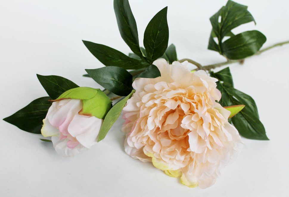 В11617 Б/С Ветка пиона