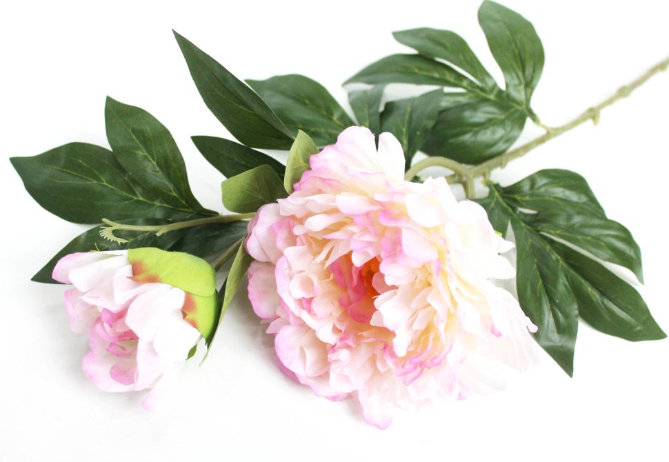 В11617 Б/С Ветка пиона