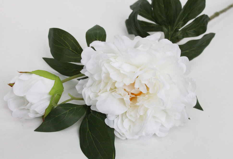 В11617 Б/С Ветка пиона