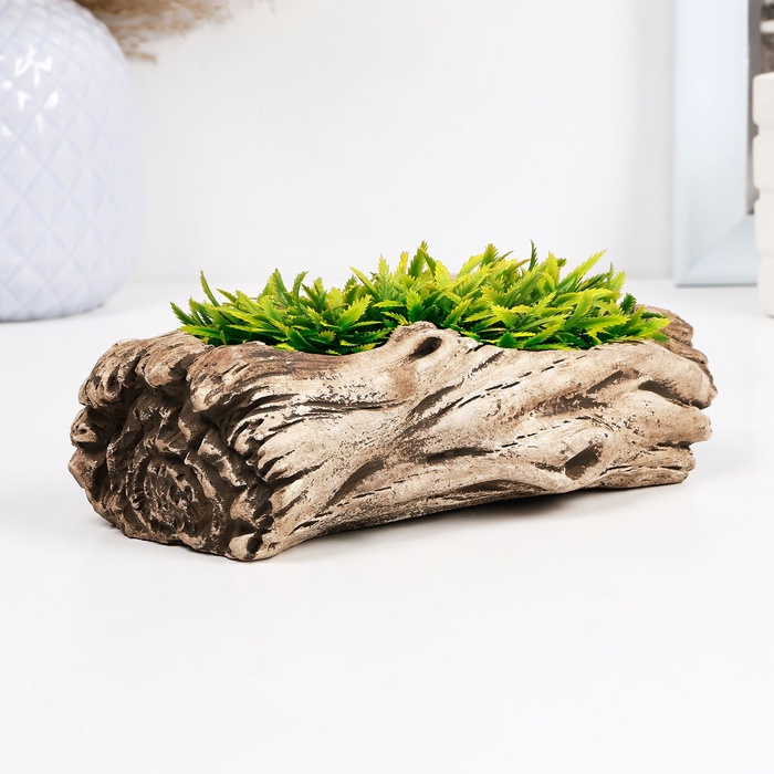 Декоративный горшок - бонсайница для кактусов и суккулентов «Дерево», 17×9×6 см, бетон