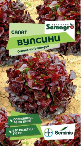Салат Вулсини(Seminis) 15шт
