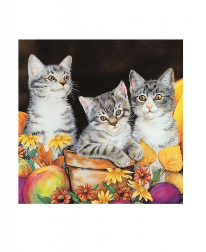 Алмазная мозаика картина стразами Три котёнка, 30х30 см