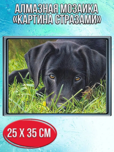 Алмазная мозаика картина стразами Чёрный лабрадор, 30х40 см