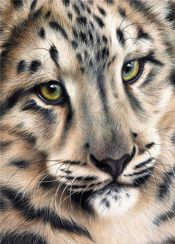 Алмазная мозаика картина стразами Ирбис, 30х40 см