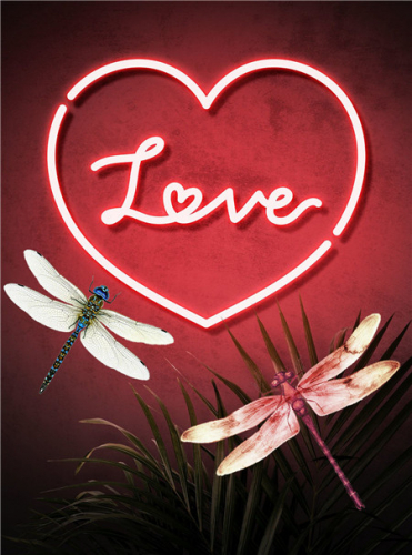 Алмазная мозаика картина стразами Две стрекозы Love, 30х40 см