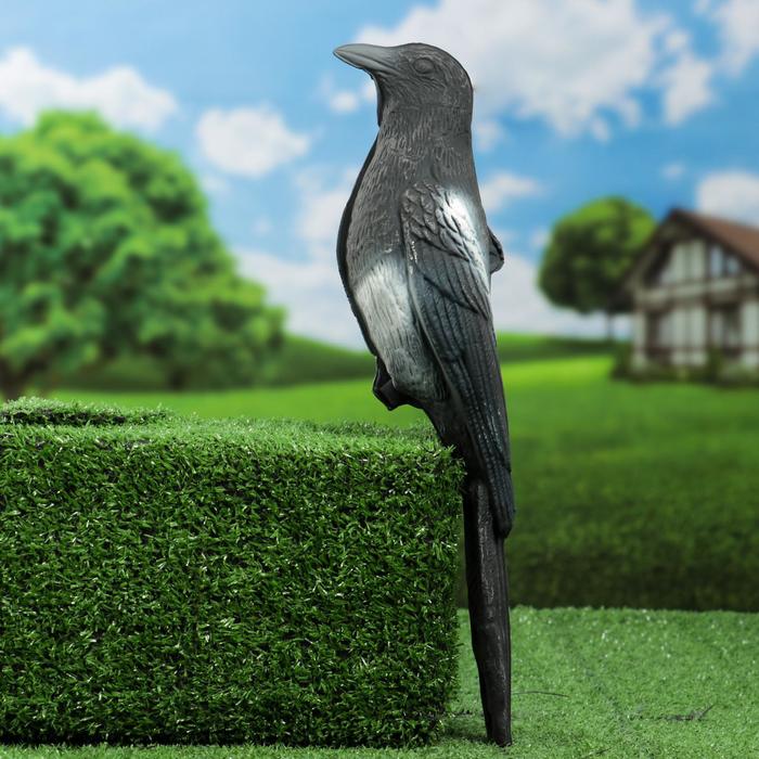 Фигура подсадная «Сорока», 38×9×9.5 см