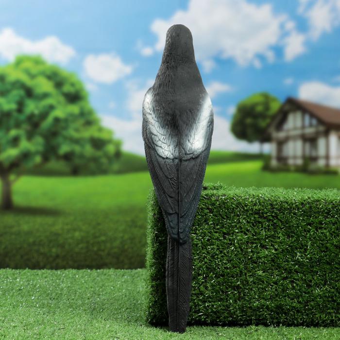 Фигура подсадная «Сорока», 38×9×9.5 см