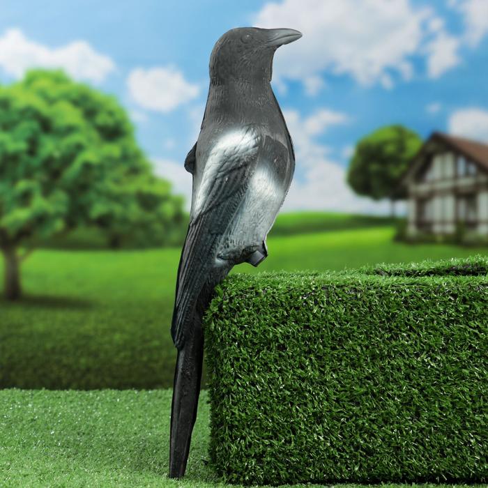 Фигура подсадная «Сорока», 38×9×9.5 см