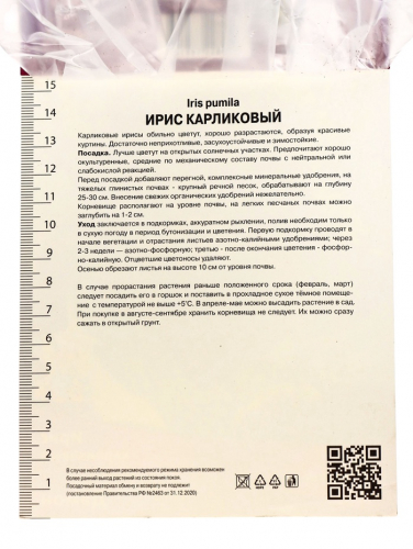 Корневище Ирис карликовый Демон, р-р I, 1 шт.