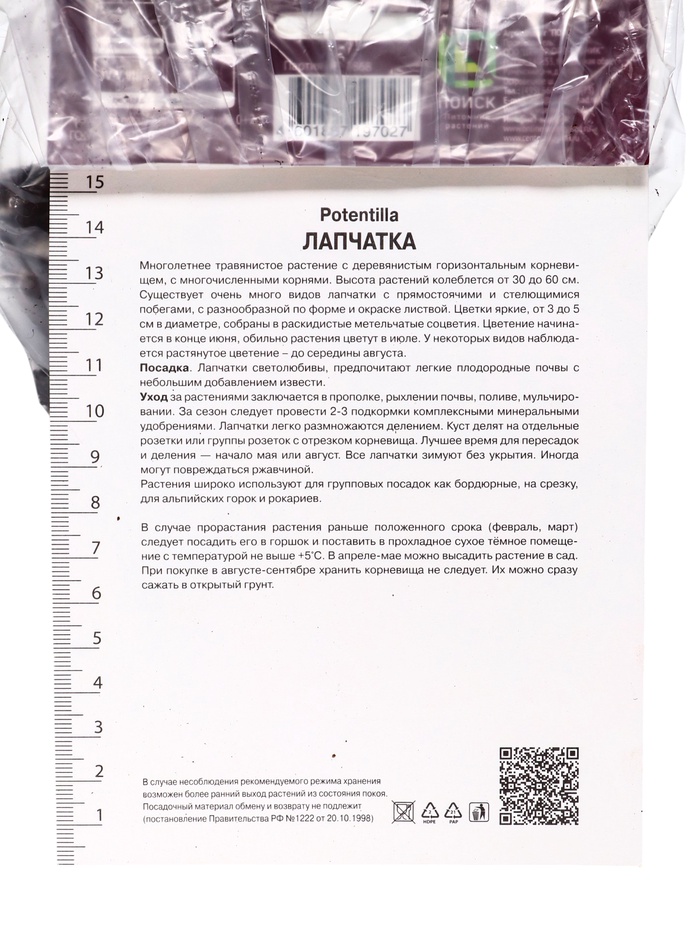 Лапчатка непальская Рон Мак Бис, р-р I, 1 шт, Осень 2025