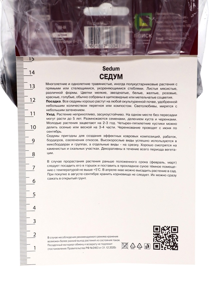 Седум гибридный Пёпл Эмпэрэ, р-р I, 1 шт, Осень 2025
