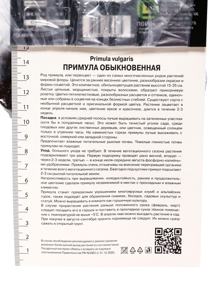 Примула обыкновенная Фру Фру, р-р I, 1 шт, Осень 2025