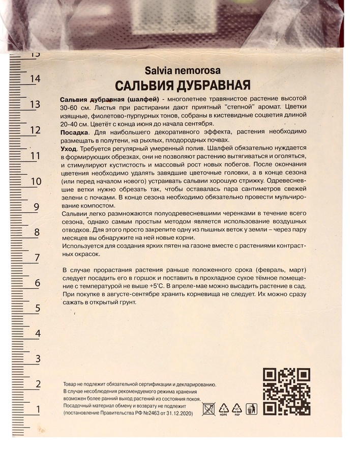 Сальвия дубравная (Шалфей) Мерло Вайт, I р-р, 1 шт., 30-40 h(см)