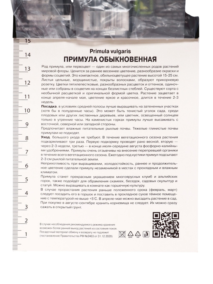 Примула Винтаж, р-р I, 1 шт, Осень 2025
