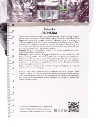 Лапчатка непальская Рон Мак Бис, р-р I, 1 шт, Осень 2025