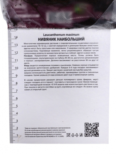 Нивяник наибольший Сноукэп, р-р I, 1 шт, Осень 2025
