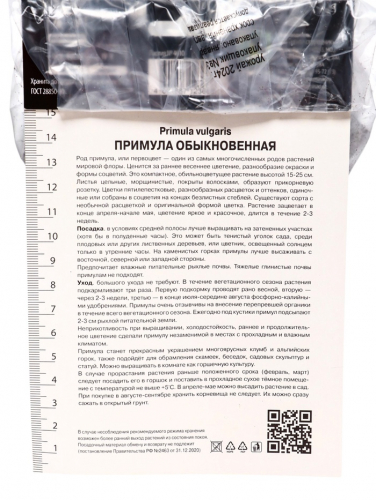 Примула обыкновенная Пёпл Сторм, р-р I, 1 шт, Осень 2025