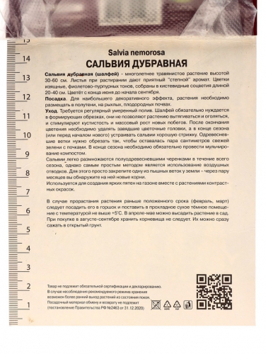 Сальвия дубравная (Шалфей) Мерло Вайт, I р-р, 1 шт., 30-40 h(см)