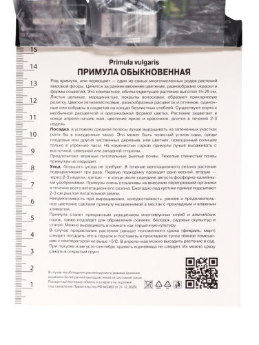 Примула Винтаж, р-р I, 1 шт, Осень 2025