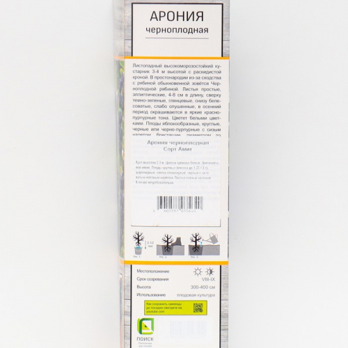 Арония черноплодная «Амит», саженец,1 шт., туба