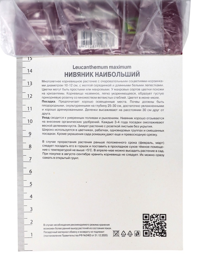 Нивяник наибольший Санни Сайд Ап, р-р I, 1 шт, Осень 2025
