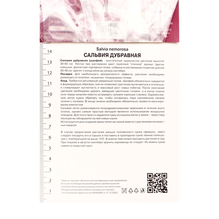 Сальвия дубравная (Шалфей) Мерло Вайт, I р-р, 1 шт., 30-40 h(см)