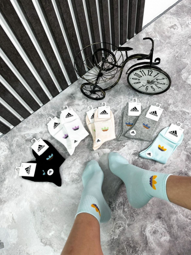 Носки женские 10 пар 46414