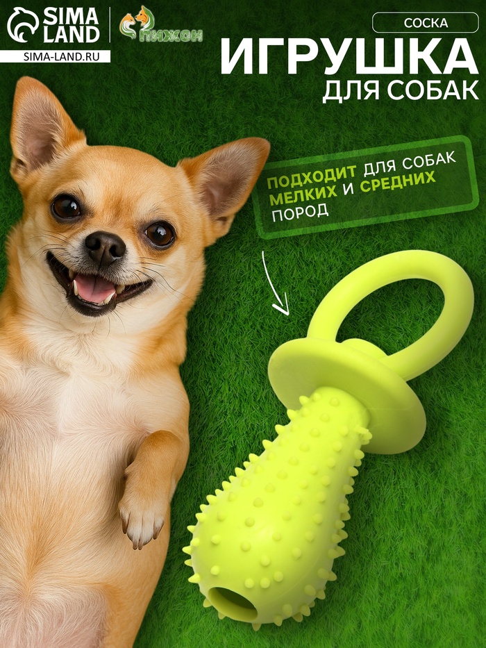 Игрушка жевательная «Соска», TPR, 10×3 см, салатовая