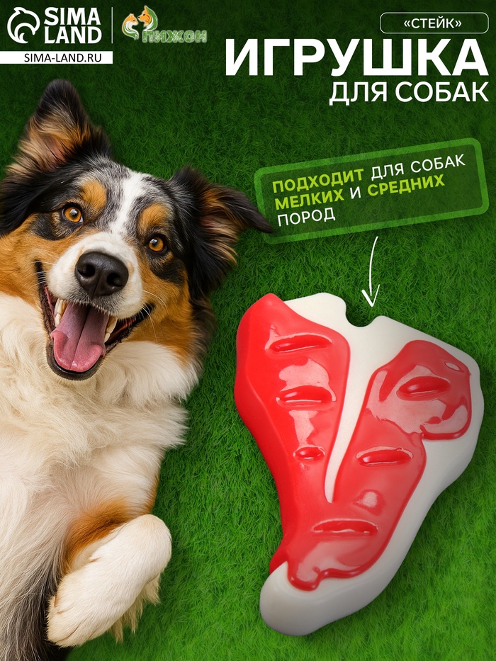 Игрушка для собак «Стейк» Пижон Premium, 10.5 см, TPR+нейлон, микс цветов