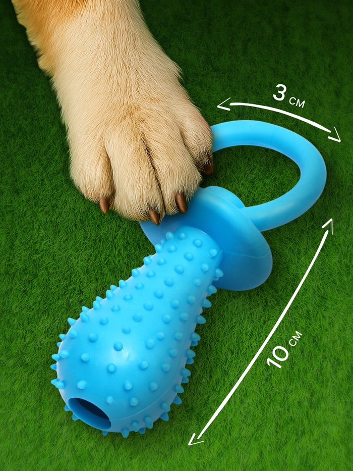 Игрушка жевательная «Соска», TPR, 10×3 см, голубая