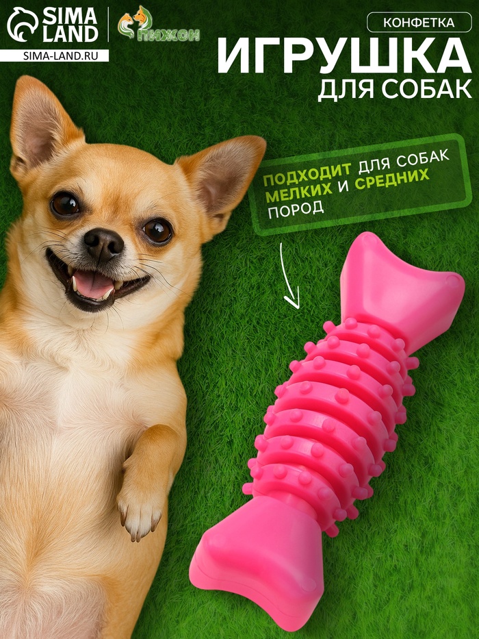 Игрушка жевательная «Конфетка», TPR, 12 см, розовая