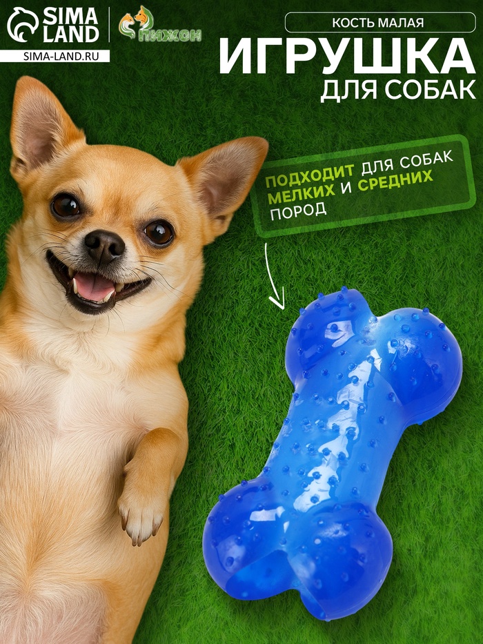 Жевательная игрушка для собак «Кость малая», 8.5 см, суперпрочная, голубая