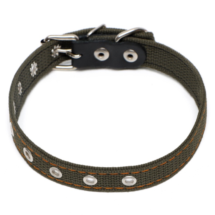 Ошейник брезентовый безразмерный двухслойный, 50×2 см, ОШ 22-45 см